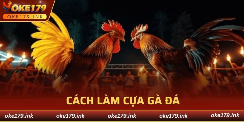 cách làm cựa gà đá