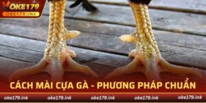 cách mài cựa gà
