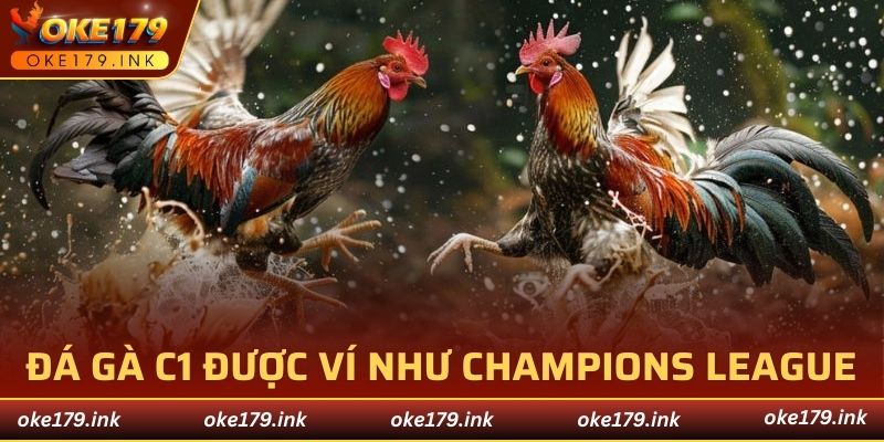 Đá gà C1 được ví như Champions League