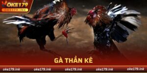 gà thần kê