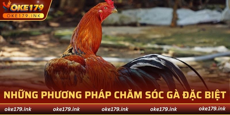 Người nuôi cần áp dụng những phương pháp chăm sóc và huấn luyện đặc biệt