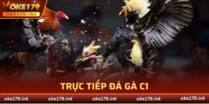 trực tiếp đá gà C1